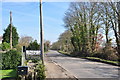 TM0326 : Looking east from Colchester Cat Rescue by MJ Reilly