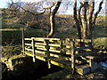 NY8351 : Acton Burn footbridge by Roger Morris