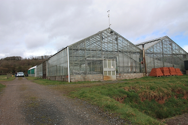 Glasshouses, Linnett farm, Ullingswick