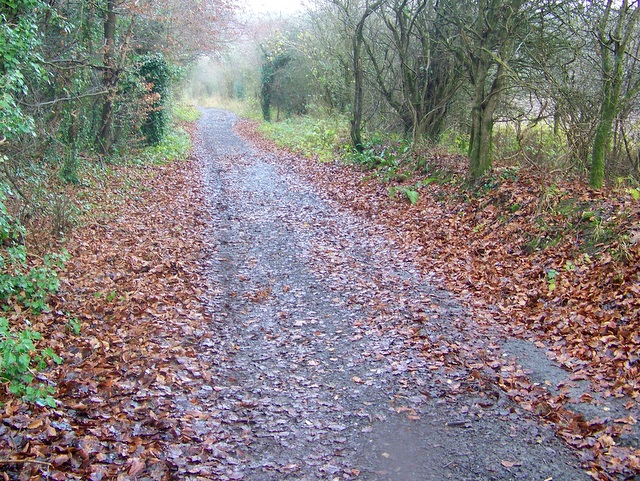 Restricted byway near Stony Hill