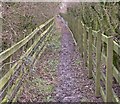 Public footpath to Markfield