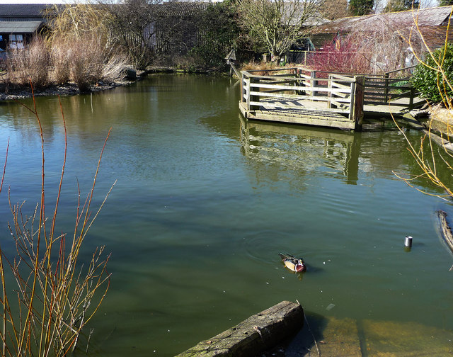 The pond at Middle Farm