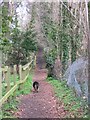 Footpath behind Woodland Close, originally from Tring to West Leith