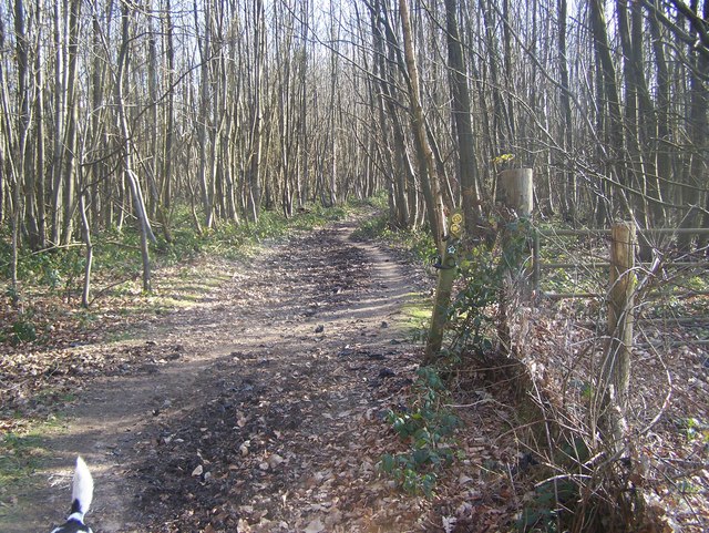 Footpath junction on Wealdway in Shipbourne Forest