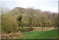 Woodland in the Oakshott Stream valley