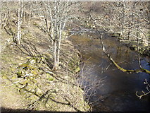 NJ3339 : Upstream Dullan Water by Stanley Howe