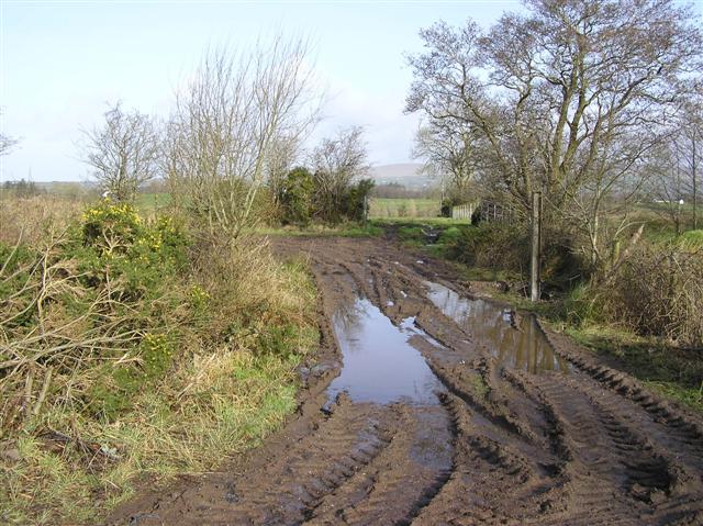 Muddy Lane, Recarson