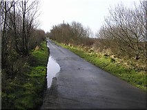 H5172 : Crocknacor Road by Kenneth  Allen