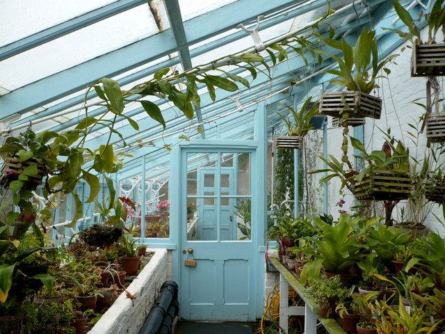 Darwin's greenhouse, Down House