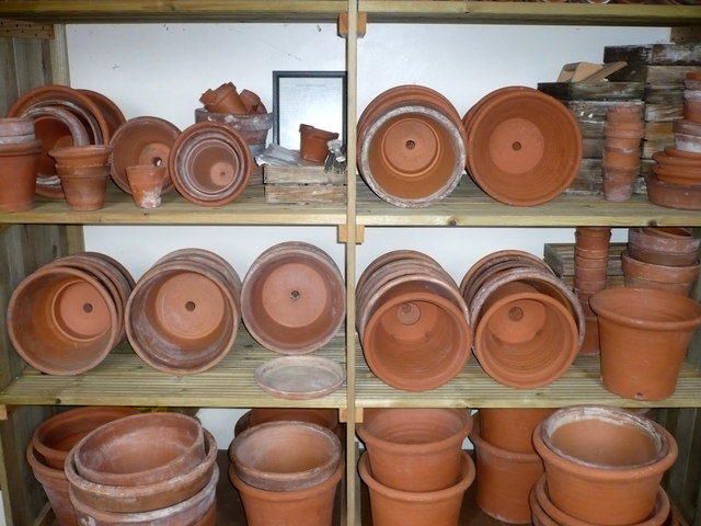 Shelves of flower pots in Darwin's laboratory, Down House