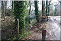 Footpath from Lutcombe Bottom meets Stoner Hill Rd