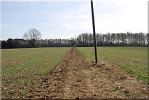 SU7227 : Bridleway across a field, Warren Corner by N Chadwick