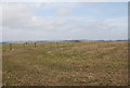 Fence crossing a Stubble Field