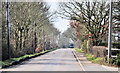 TM0326 : Bromley Road towards Colchester by MJ Reilly