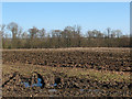 Ploughed field near Turvey