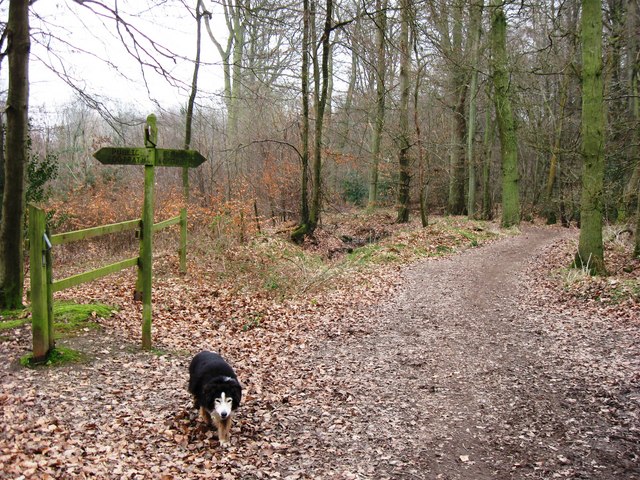 The Bridleway was once much wider