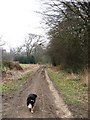 The Hastoe to Chesham Bridleway now runs through the fields