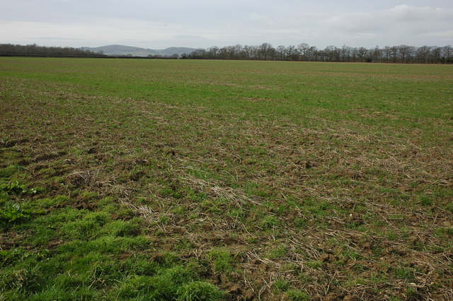 Farmland near Buckland