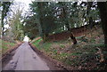 Sunken lane descending to Priors Dean