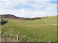 Hut Circle in Field beside Achvaich