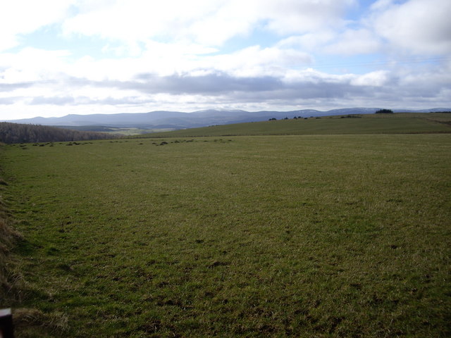 View south from near Moss-side