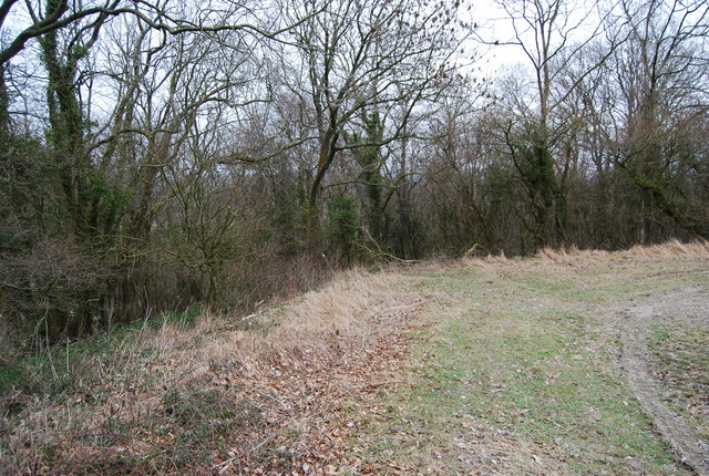 Footpath enters the woods, Hawkley Hanger