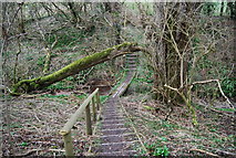 SU7330 : Steps down to a stream on the Hangers Way by N Chadwick