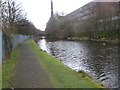 Rochdale Canal near Castleton