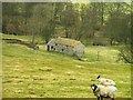 Barn North East of High Blayshaw