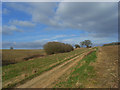 Footpath below Crookham