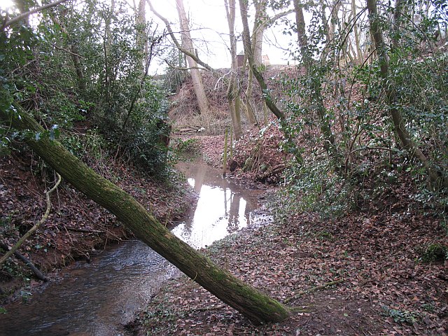 Dumblehole Brook