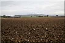 NO4557 : Field, Miltonbank farm by Dan