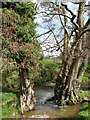 Unnamed Stream near Staplefields Farm