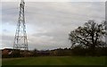 Worcester Cathedral seen from Upper Battenhall