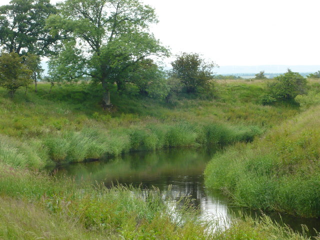 The River Forth in high summer