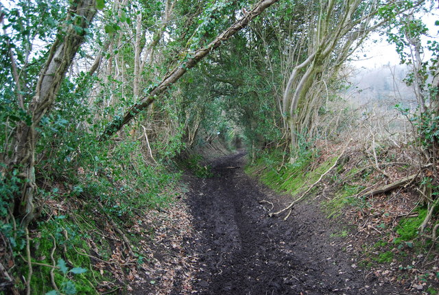 Muddy byway SE of Empshott Green