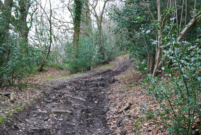 Muddy byway SE of Empshott Green (4)