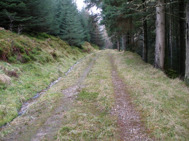 Forest track in Balliemore Forest