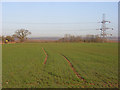 Farmland, Burghfield