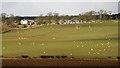 Farmland at Rachelfield