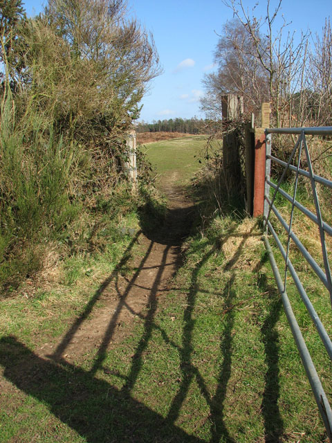 Path to Hevingham Park