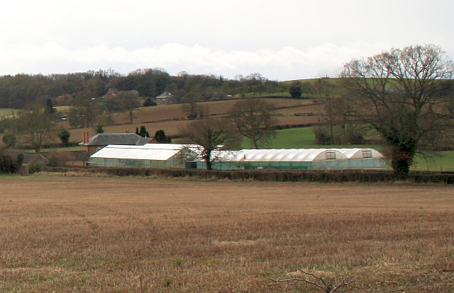 Linnett Farm greenhouses