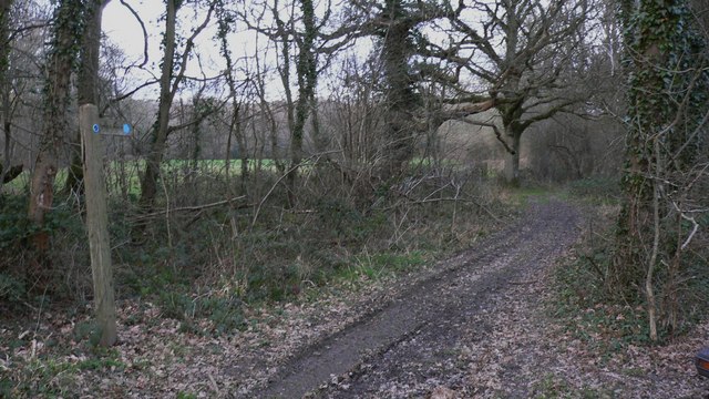 Sussex Border Path at Gospel Green