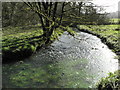 The Afon Alun, Castle-upon-Alun