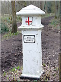 TQ1462 : Coal Tax Marker Post, Arbrook Common by Colin Smith