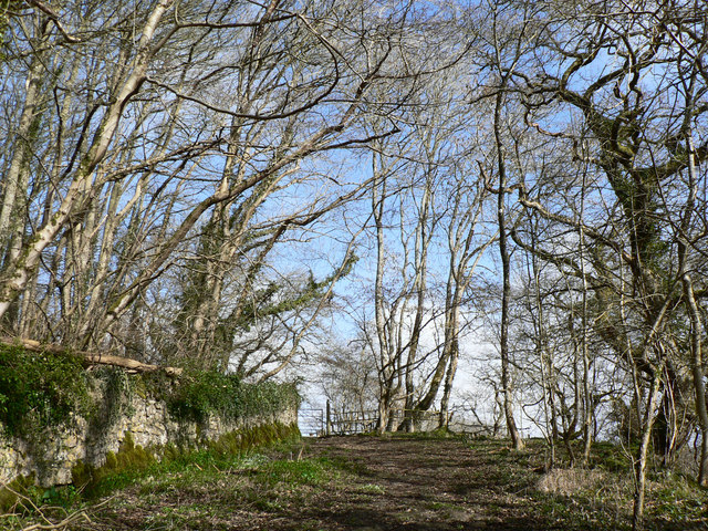 Footpath to Old Castle Down, Castle-upon-Alun.