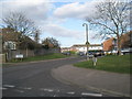 Ellesmere Orchard