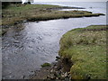 Barnacarry Burn flowing into Loch Fyne