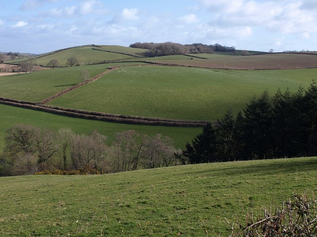 Hillside near Baddaford