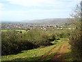 View from West Mendip Way